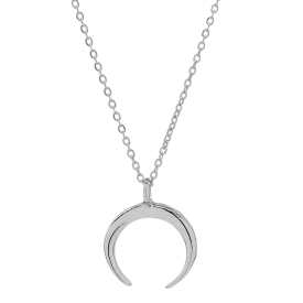 Horn necklace