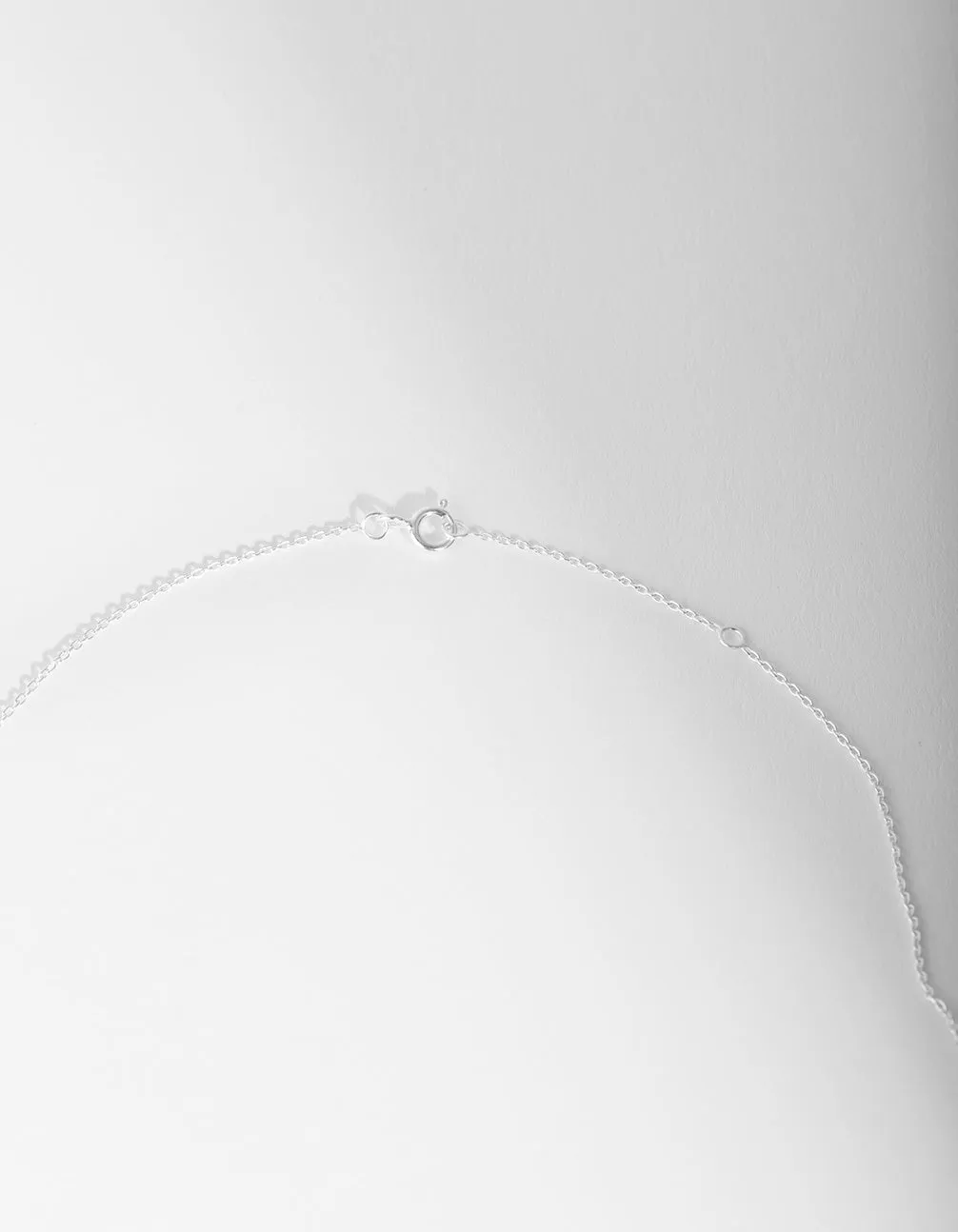 Sterling Silver Wishbone Necklace