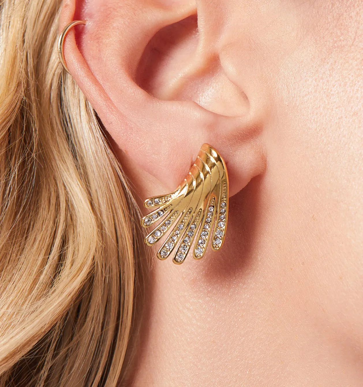 Wing Earrings